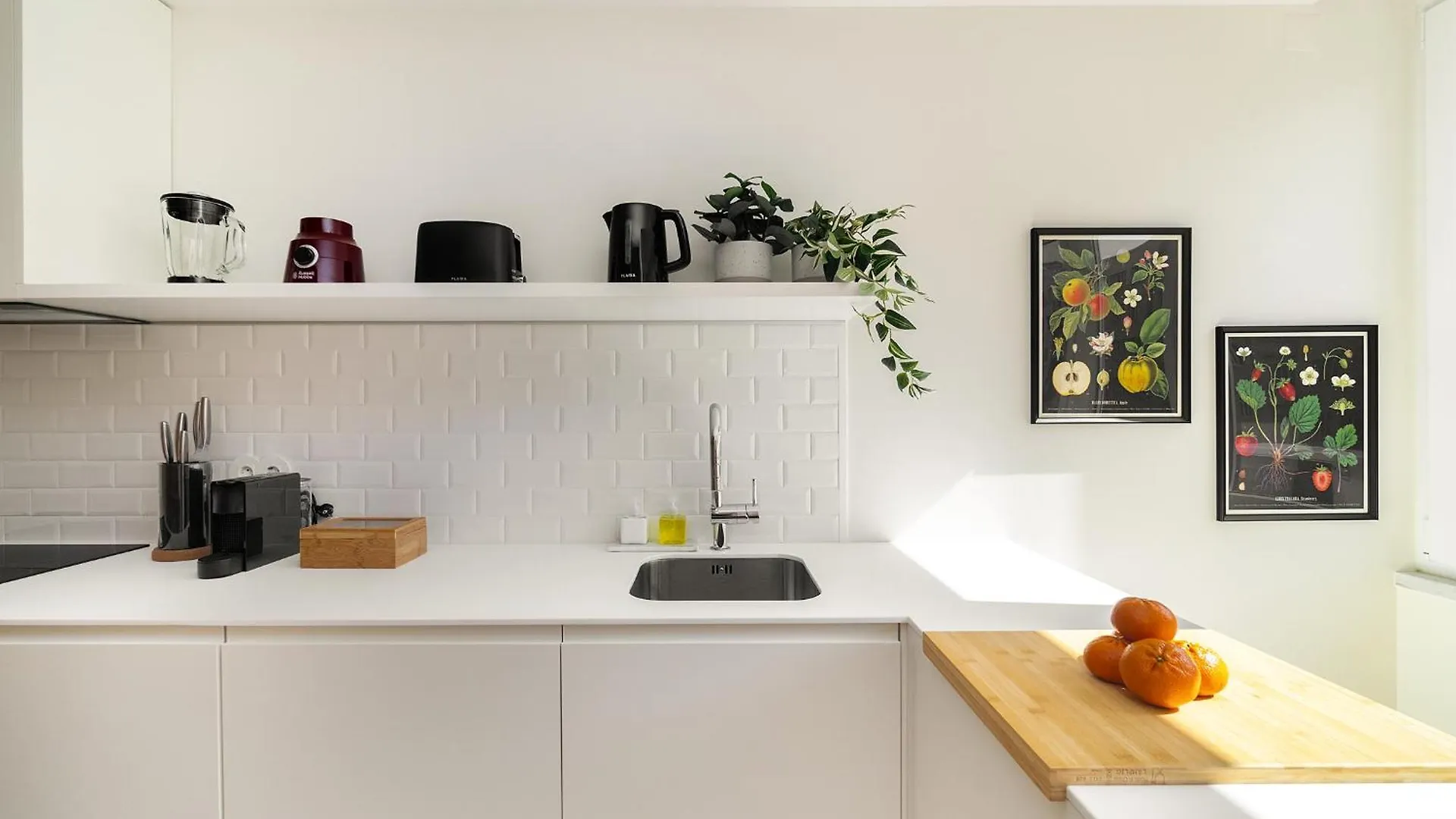 Whome Modern & Elegant Apartment In Central Lisbon Portugal